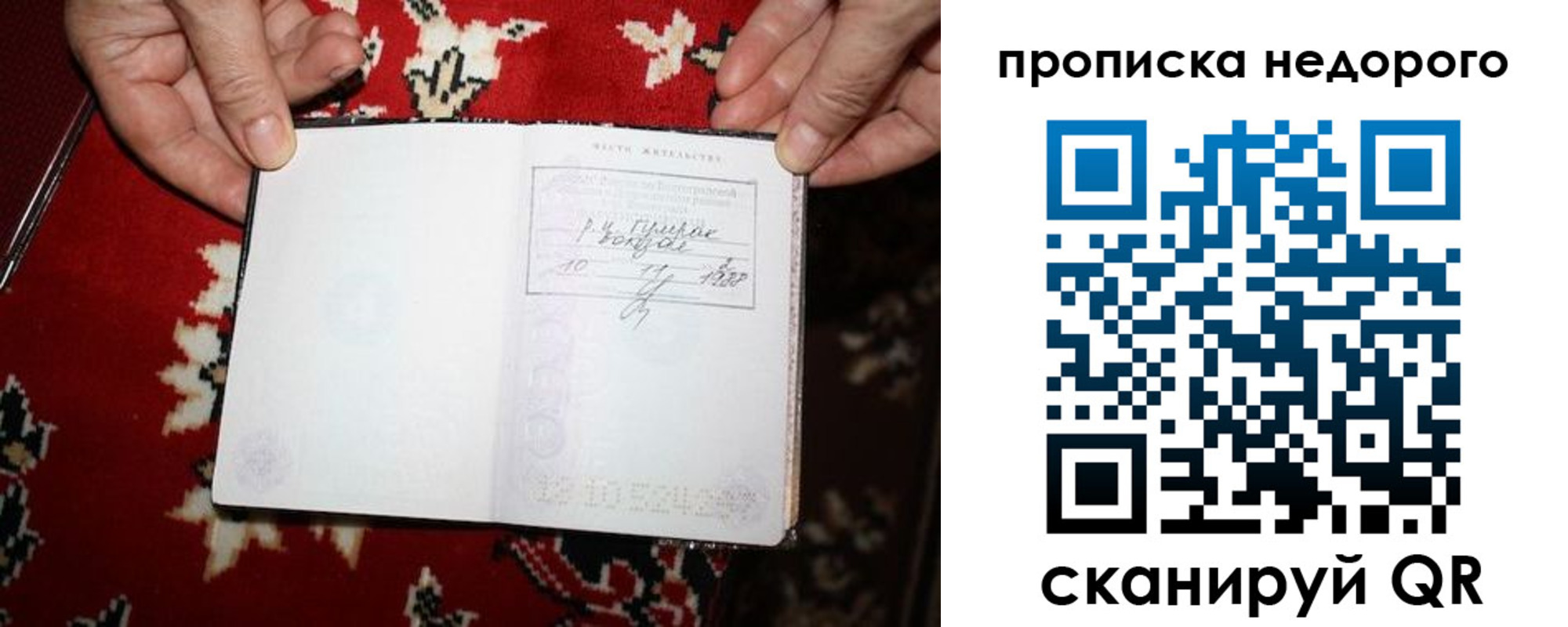 прописка гарантия в Хабаровске